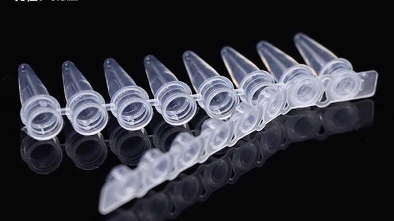 （白标）0.2ml PCR 8连排，透明，管盖一体